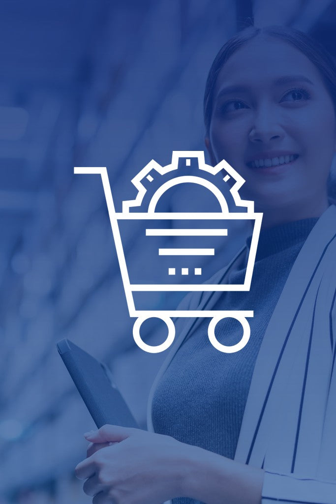 Gerenciamento de E-Commerce Mensal