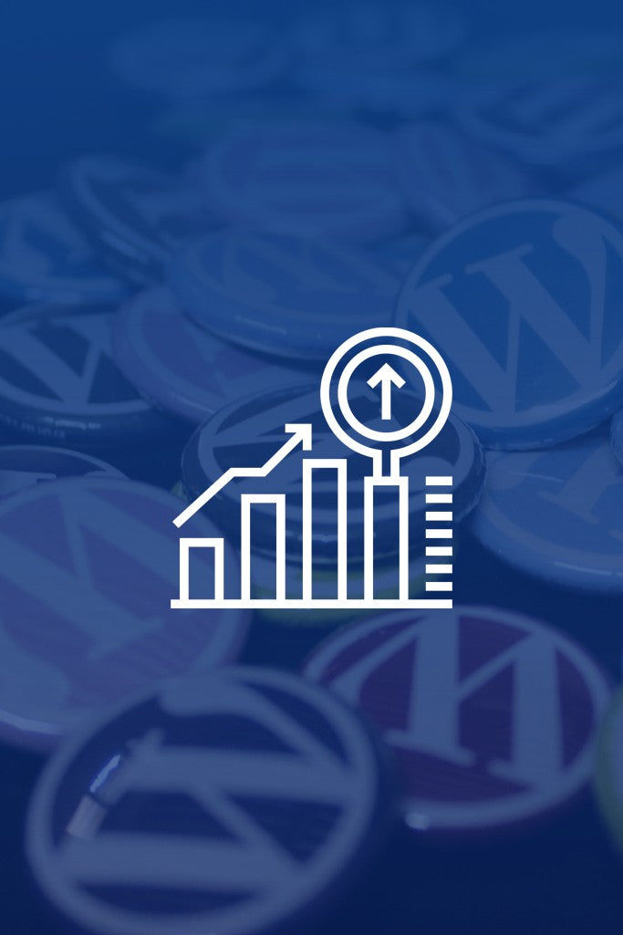 Otimização de Velocidade para plataforma WordPress