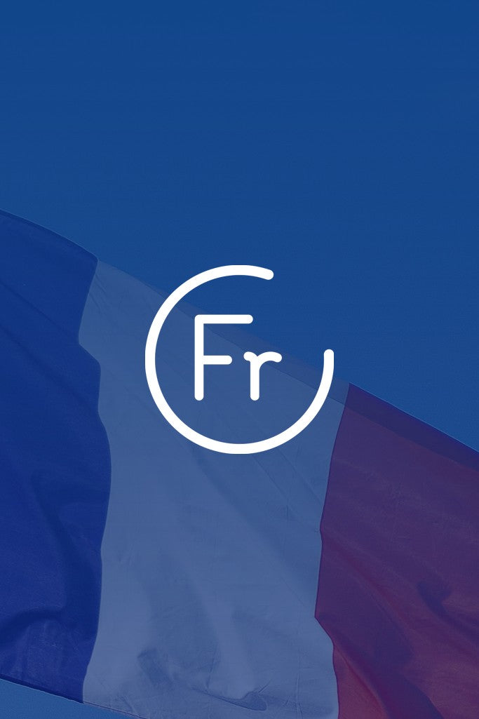 Tradução Site com WordPress para Francês da França